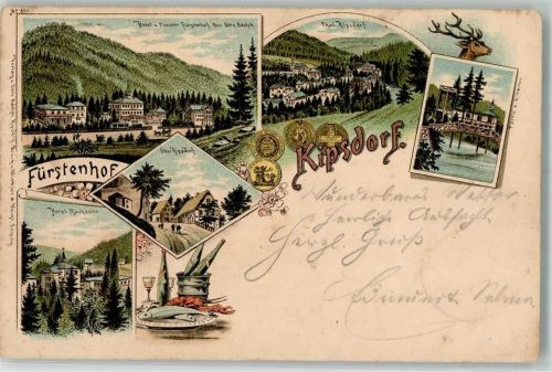 Kipsdorf 1896 Hotel Fürstenhof Kipsdorfer Tal Ober Kipsdorf Hummer Sekt Bahnpoststempel
