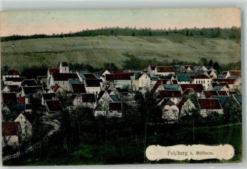 79379 W7840 Feldberg , Markgräflerl 1917
