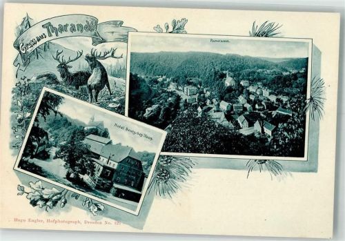 01737 O8223 Tharandt - Röhrende Hirsche Hotel Deutsches Haus