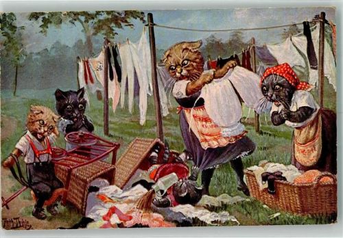 1925 Katzenkinder werfen zum Entsetzen der Mutter Körbe mit frischer Wäsche um Tiere vermenschlicht T.S.N. Serie1861