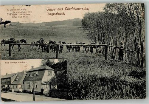 Dürrhennersdorf 1915 Pferdeweide Gasthaus Röthig