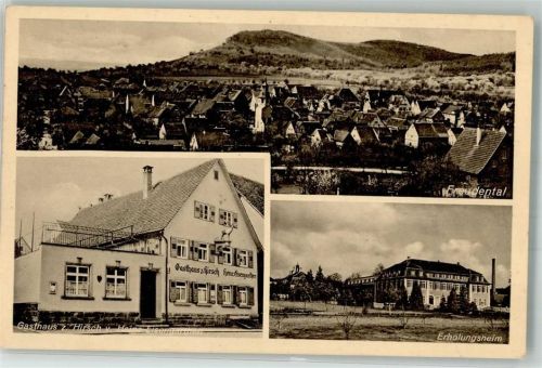 74392 W7121 Freudental , Württ - Gasthaus zum Hirsch Erholungsheim