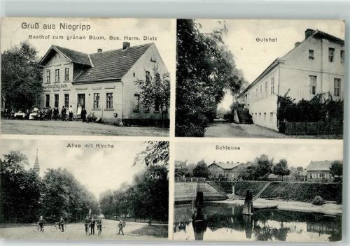 Niegripp 1912 Gasthaus Zum grünen Baum Herm. Dietz Gutshof Allee mit Kirche Schleuse