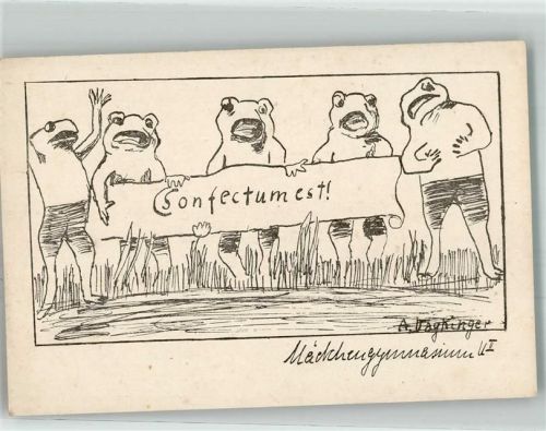 Frosch Sonfectumest Mädchengymnasium