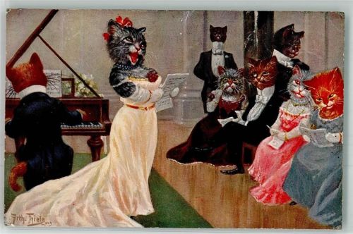 1911 Katze vermenschlicht Hausmusik T.S.N. Serie 1012