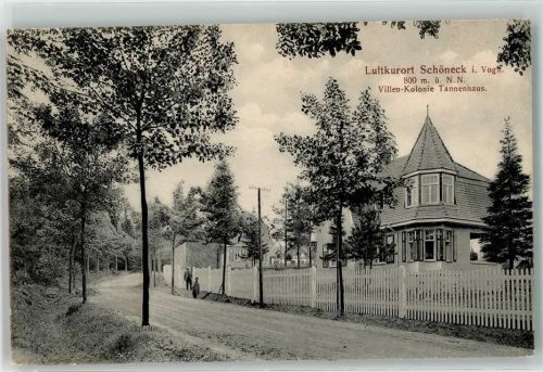 Schöneck 1913 Villen Kolonie Tannenhaus