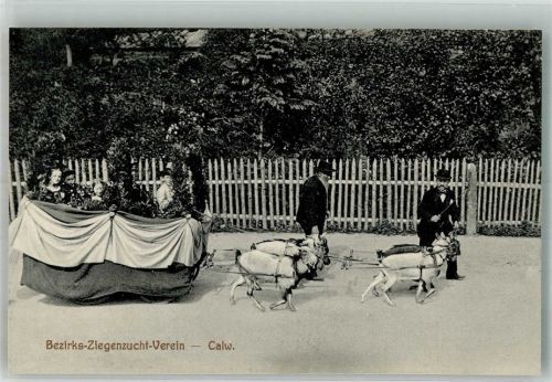 Calw 1912 Landwirtschaft Bezirksfest Ziegenzucht Verein