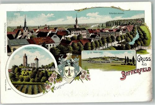 Bitterfeld Schloß Pouch Der Muldenstein Stadtwappen