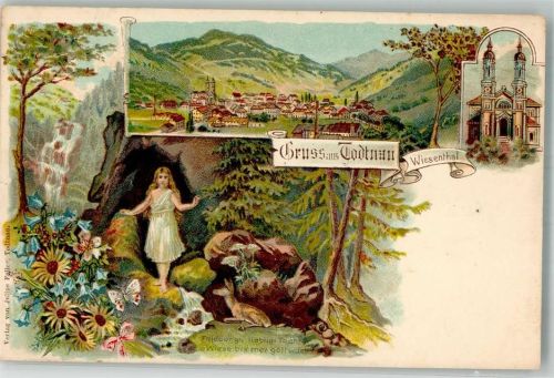 Todtnau Wiesental Reh Feldberg's liebling's Tochter Schmetterling Kirche St. Johannes der Täufer Neujahreskarte