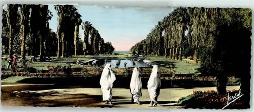 Alger Jardin d Essai