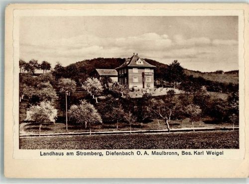 Diefenbach 1933 Original aufmontierte Verlagsmusterkarten Landhaus am Stromberg