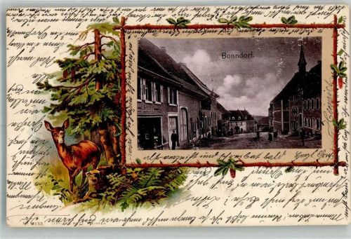 Bonndorf 1902 Bonndorfer Dorfstrasse Rehkitz Passepartout