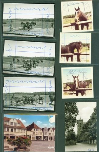 Verden Lot mit 10 AK und 9 Fotos Originale aus dem Archiv des Metzverlages Klebereste rückseitig