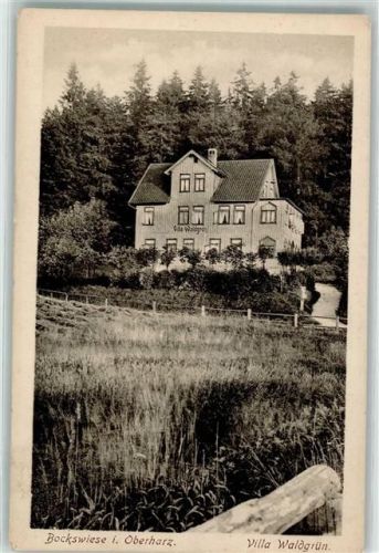 Bockwiede Villa Waldgrün