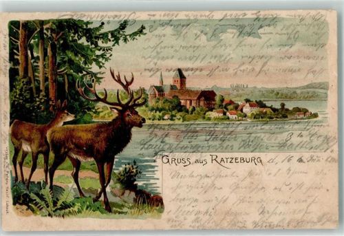 Ratzeburg 1900 Hirsch Lithographie
