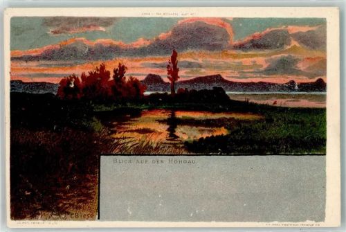 Blick auf den Höhgau Serie I Der Bodensee Blatt 7 Biese, K. 1901 Lithographie