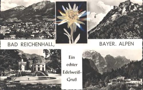 Bad Reichenhall Echtes Edelweiß