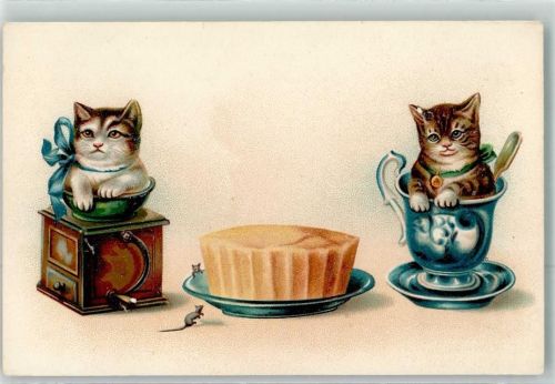 Katzen Mäuse