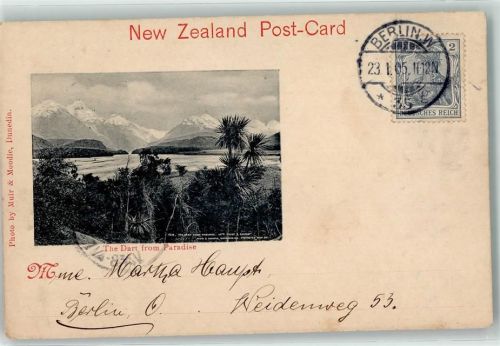 1905 The Dart from Paradise