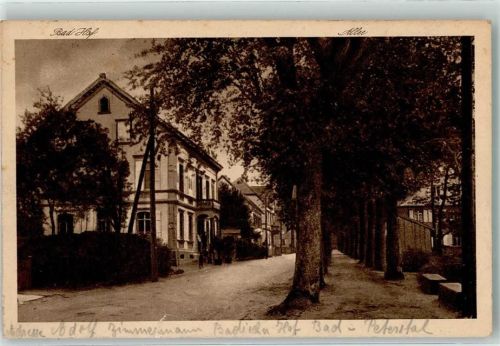 Bad Peterstal Baumallee Hotel Badischer Hof