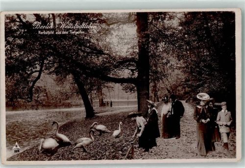 Tiergarten 1908 Tiergarten Schwäne Serie Berlin Weltstadtleben