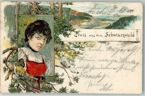 1901 Lithographie Vögel