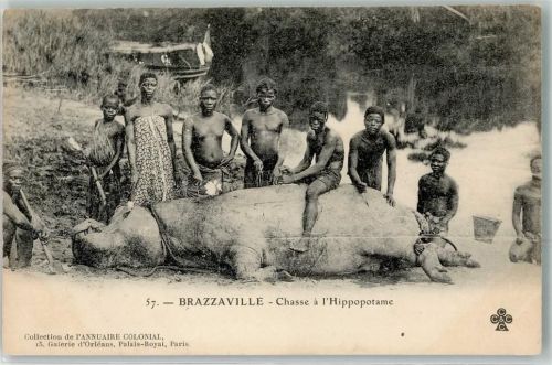 Brazzaville 1900 Jagd Chasse a Hippopotame Nilpferd Volkstypen AK