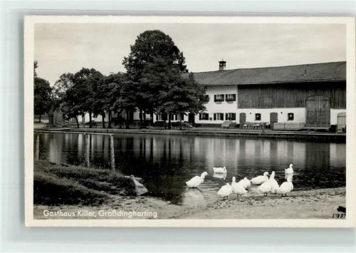 82064 W8021 Großdingharting Privatfoto AK Gänseteich vor dem Gasthaus Killer