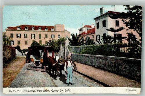 Funchal 1909 Ochsenschlitten Tracht