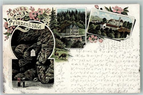 08118 O9509 Hartenstein b Zwickau 1896 Lithographie Prinzenhöhe Forsthaus Schloss Hartenstein