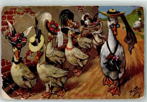 1918 Enten vermenschlicht Stroefer T.S.N. Serie 919