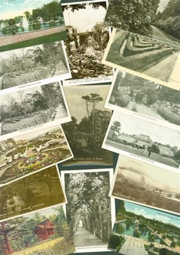 Lot mit 25 AK Garten Blumen Pflanzen Gartenbau Posten 21 bis 100 AK