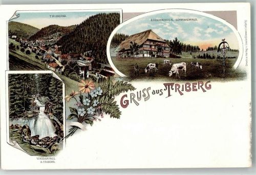 78098 W7740 Triberg im Schwarzwald Lithographie Schwarzwälder Bauernhaus Wasserfall Verlag Louis Glaser