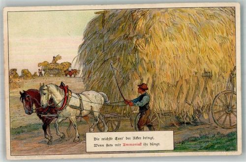 1910 - 1920 Ammoniak sign. F. Schoen Ährenernte Tiergespann
