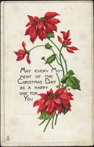 1914 Weihnachtsstern, Tucks-AK -Poinsettia- Nr. 544,Raphael Tuck & Sons
