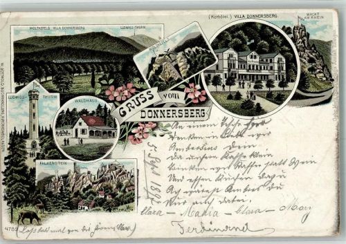 Dannenfels 1897 Lithographie Waldhaus Ludwigs Turm Motkefels Falkenstein