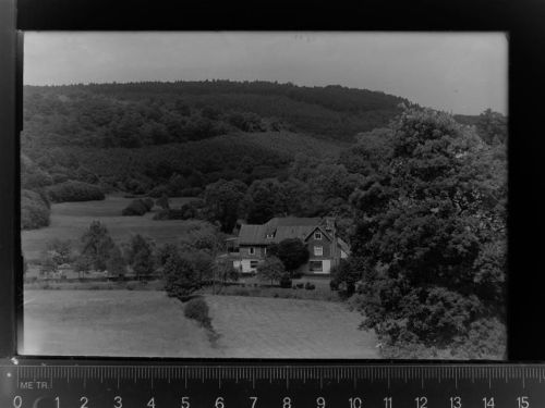 Niedersteinebach Haus zum Walde