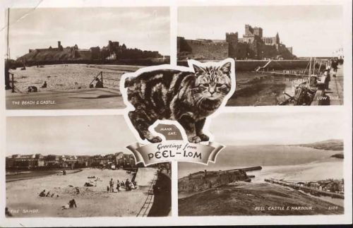 1952 Peel: I.oM., Katze, Beach and Castle, Low Tide, Casle and Harbor,R.A. Postcards