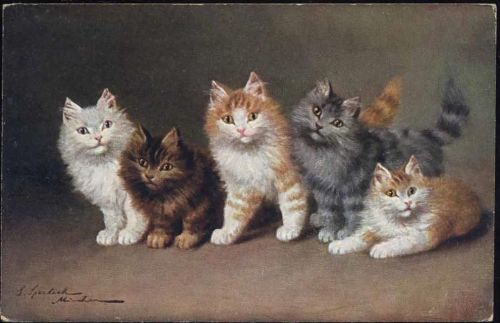 um 1910/20 5 kleine Katzen. Serie 1685.,TSN,sign. Sperlich