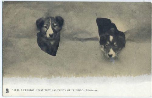 um 1910/20 2 Hunde. Serie 1341.,Raphael Tucks & Sons