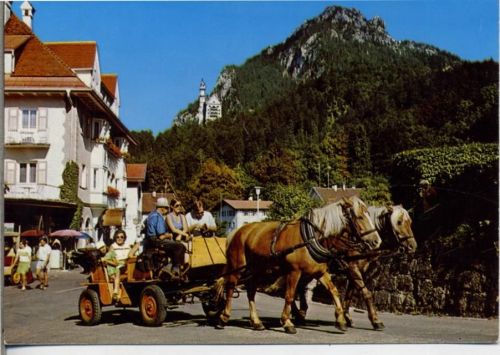 87629 W8958 Füßen um 1970/80 - Füssen, Pferdekutsche zum Königschloss Neuschwarnstein, Berge,Bodan Ansichtskartenverlag AKU2