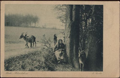 1918 Ziegen und alte Frau.,HBV AKU1