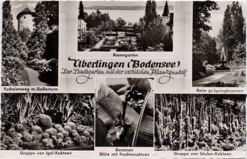 1958 Überlingen am Bodenseee, Der Stadtgarten mit der exotischen Pflanzenwelt.,Erwin Burda AKU1