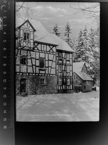 Lich Untermühle im Schlosspark