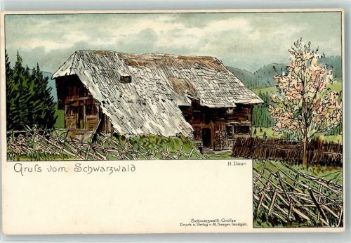 1897 Verlag Seeger Schwarzwaldhaus auf AK