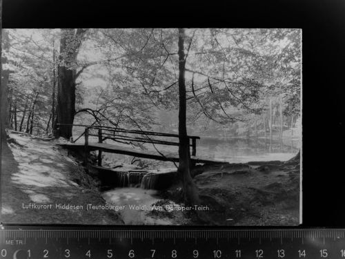 Detmold Donoper-Teich