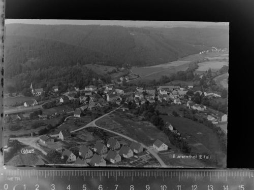53940 W5374 Blumenthal , Kr Schleiden, Eifel GLASNEGATIV