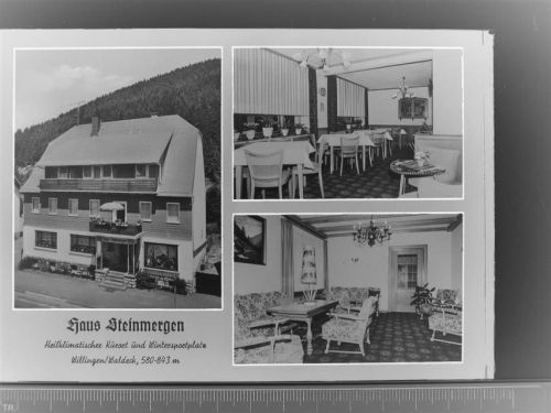 Willingen Haus Steinmergen