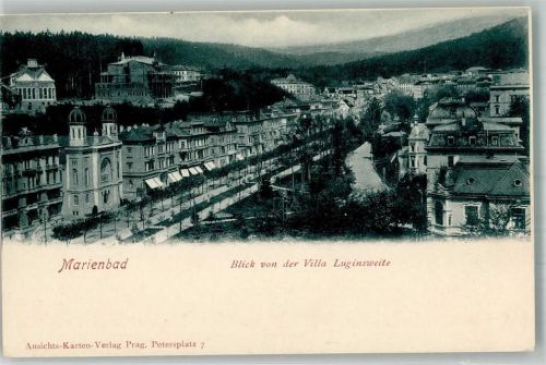 Marianske Lazne 1900 Blick von der Villa Luginsweite