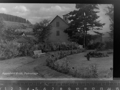 34593 W3589 Appenfeld GLASNEGATIV Parkanlage